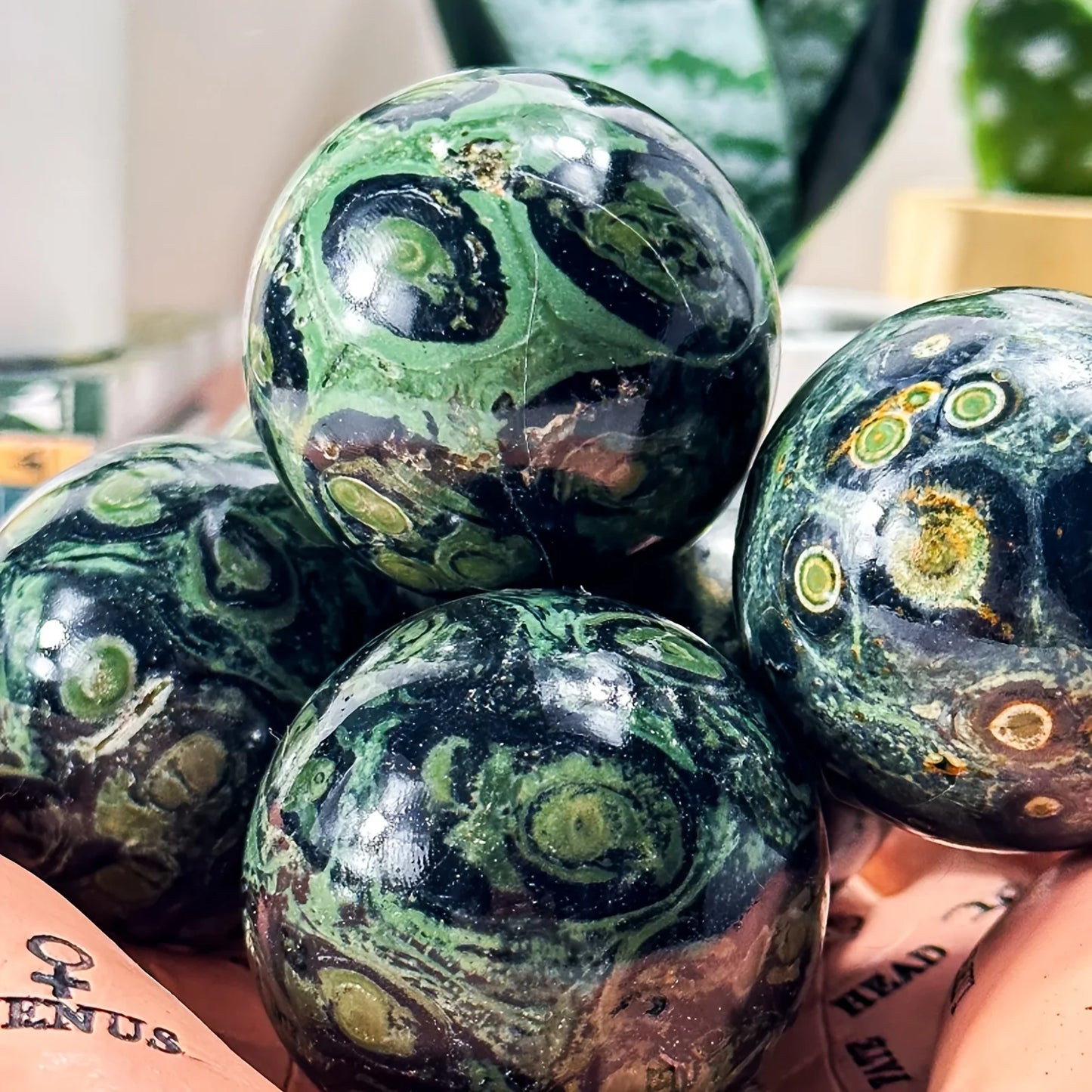 CrystalHola Kambaba Jasper Sphere Polished Stone Ball For Home Decor