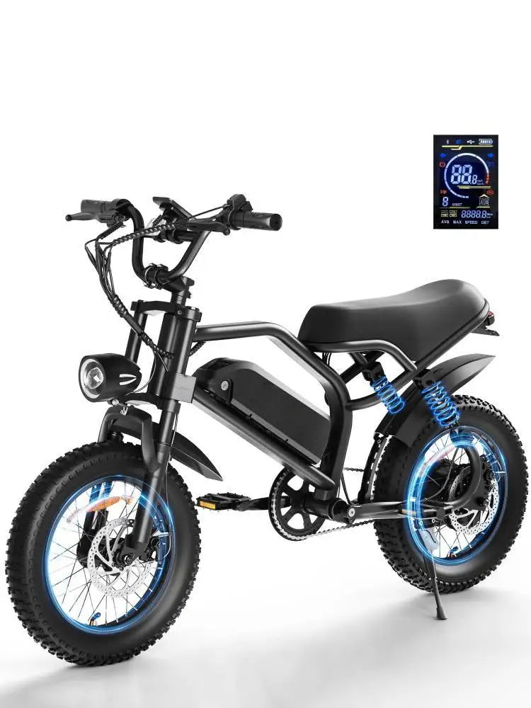 EILLEO SPACEWALK Electric Bike 750W Motor For Adults and Teens