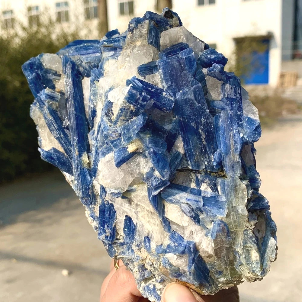 CrystalHola Kyanite Specimen Raw Stone Crystal Healing Home Decor
