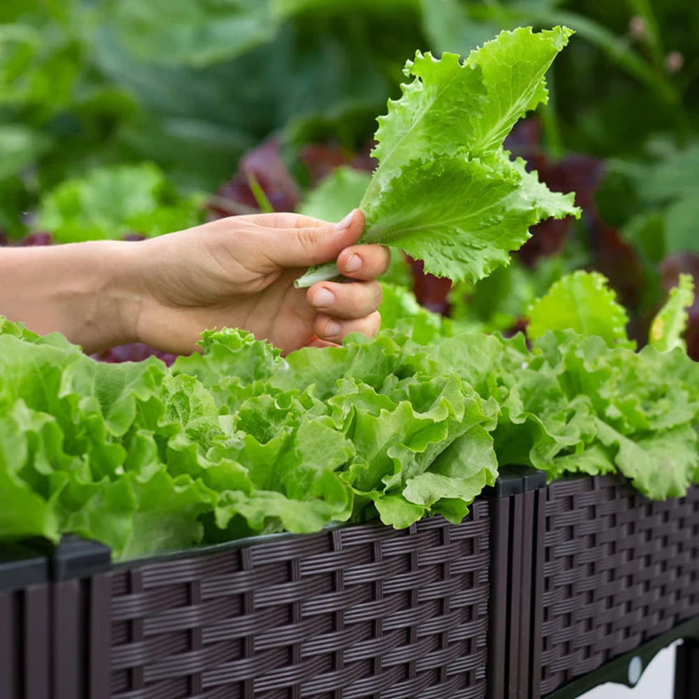 Plastic Raised Planter with Drainage Holes Planting Container with Legs Raised Bed for Gardening Vegetables Fruits Flowers Herbs