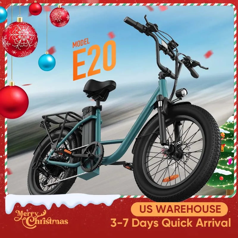 URLIFE E20 1000W Electric Bike Fat Tire Dual Disc Brakes
