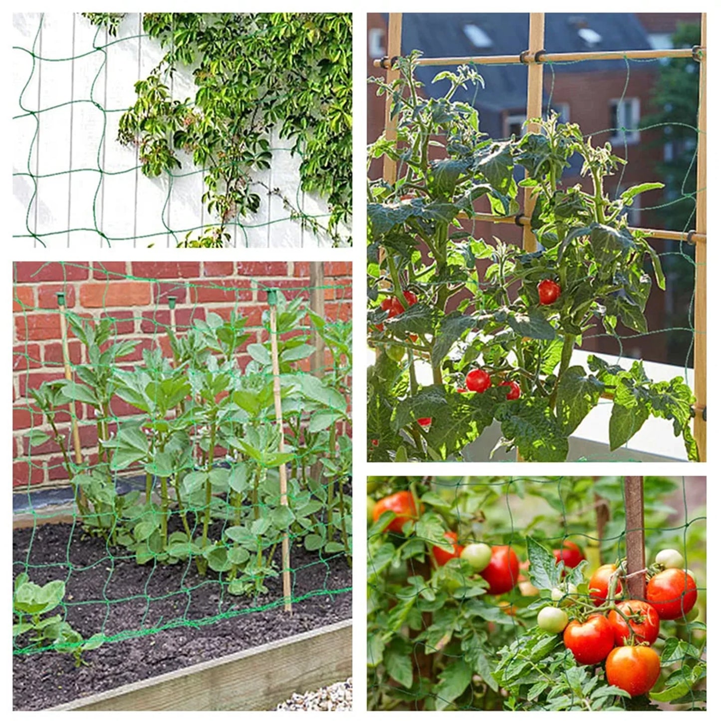 Garden Plants Trellis Netting Fine Mesh All-Weather Trellis Netting Mesh for Vegetable Plants Fruits Flowers Crops MIAO-US