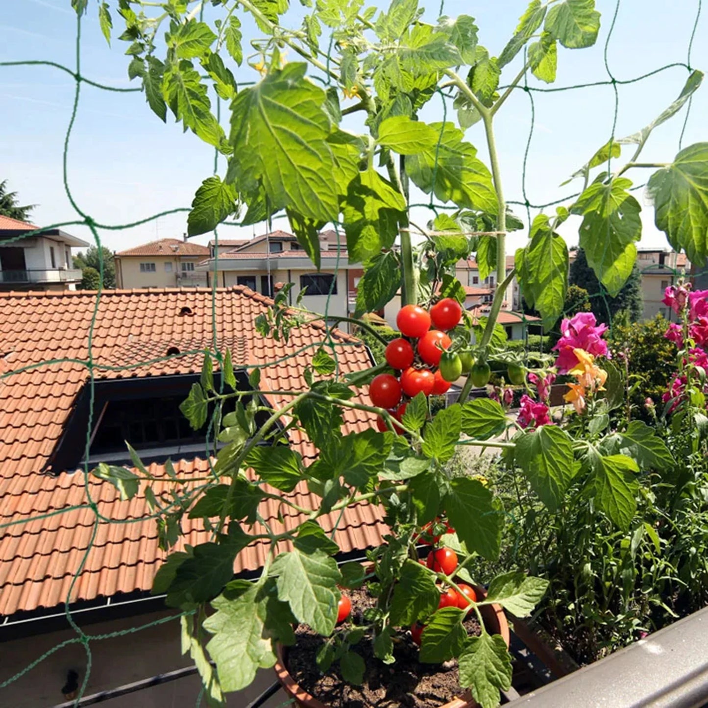 Garden Plants Trellis Netting Fine Mesh All-Weather Trellis Netting Mesh for Vegetable Plants Fruits Flowers Crops MIAO-US